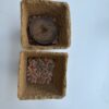 DIY Italienisches Kräuter-Set – Mediterrane Frische für Zuhause – Bild 5